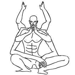 Omni Design